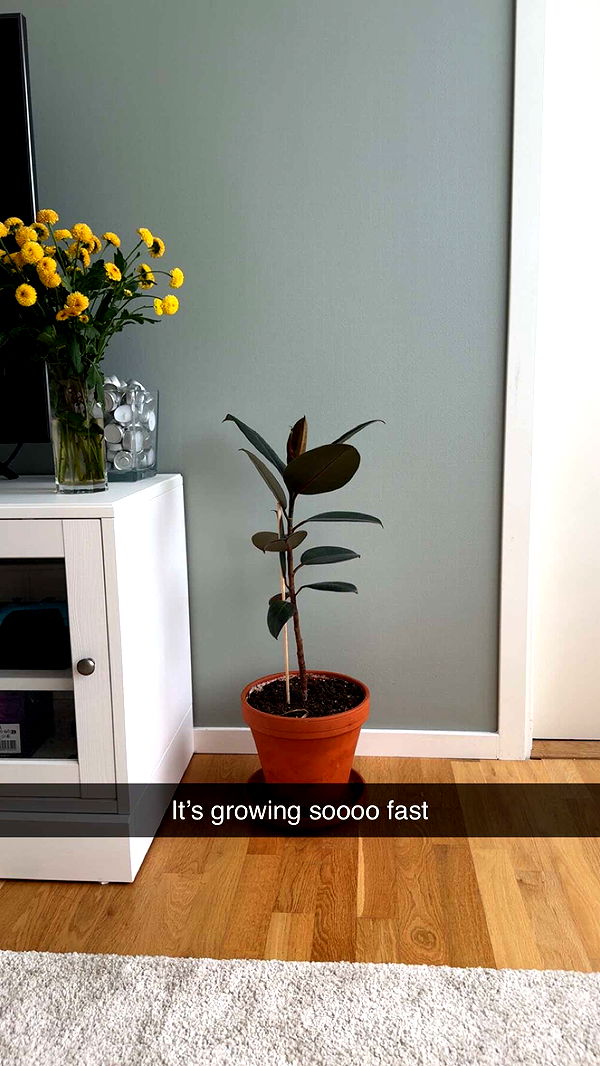 mathilda_bergs image ~ Altpins