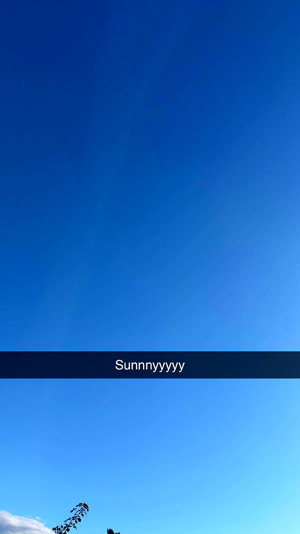 mathilda_bergs image ~ Altpins