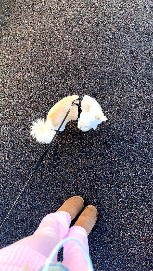 mathilda_bergs image ~ Altpins