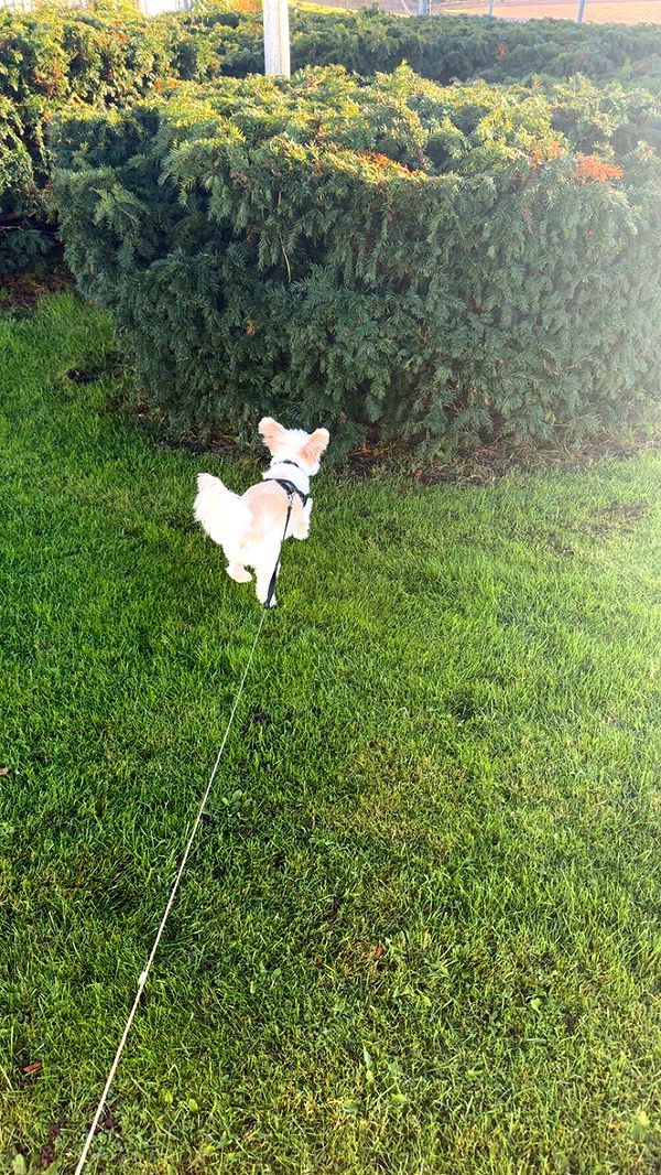 mathilda_bergs image ~ Altpins