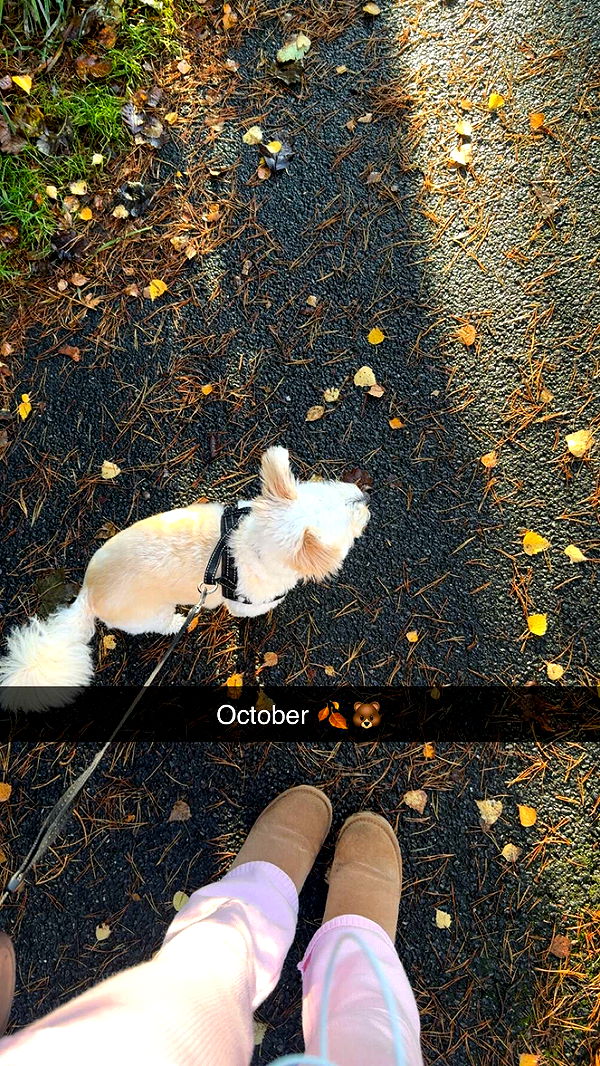 mathilda_bergs image ~ Altpins