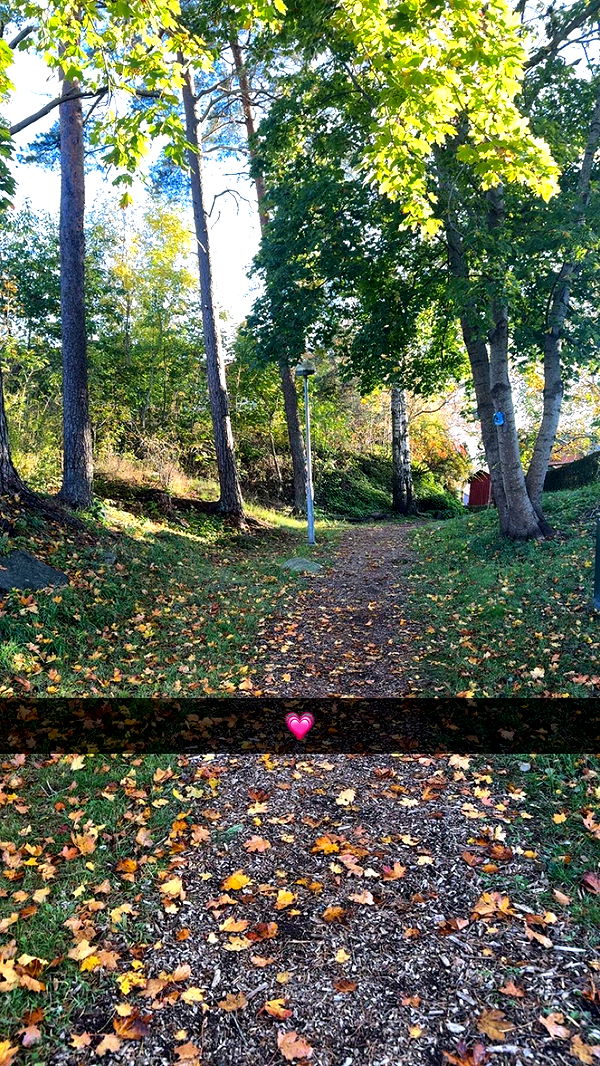 mathilda_bergs image ~ Altpins