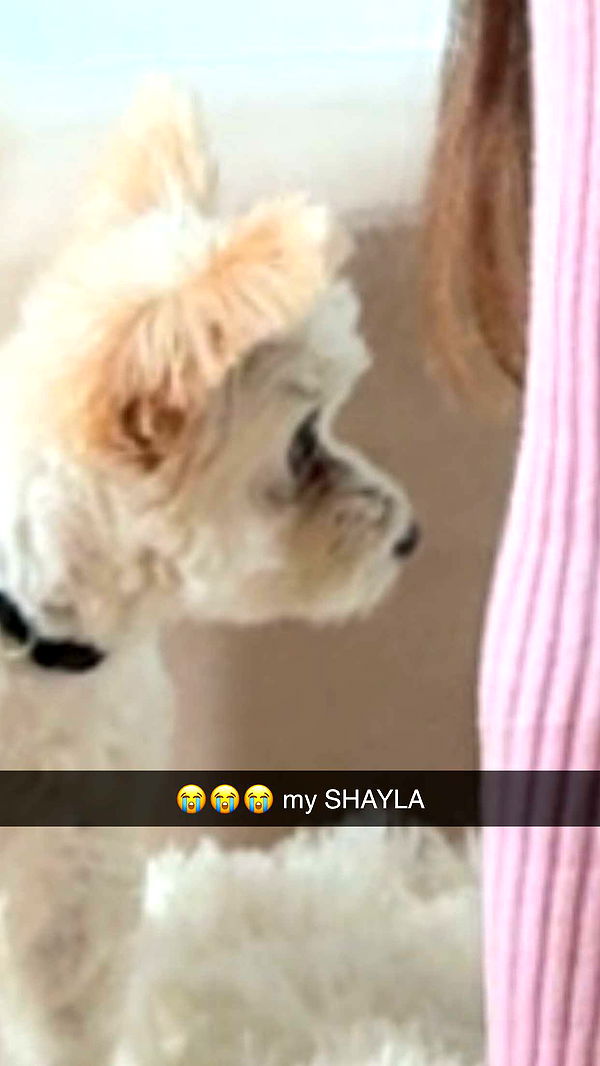 mathilda_bergs image ~ Altpins