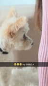 mathilda_bergs Altpins Profile Picture