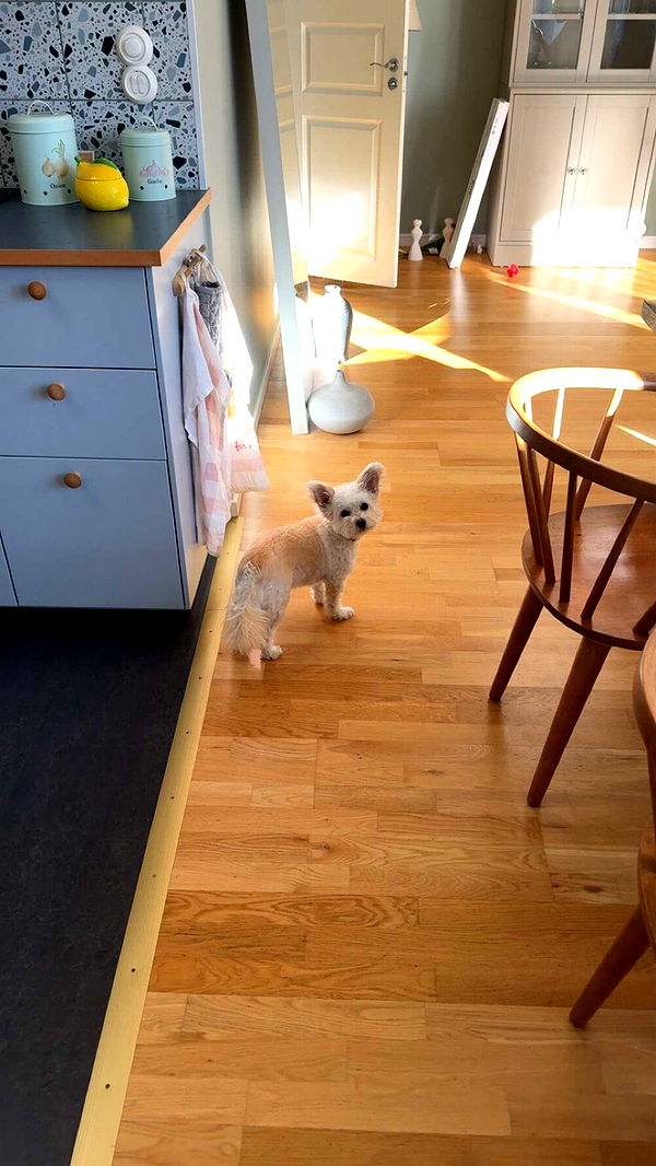 mathilda_bergs image ~ Altpins