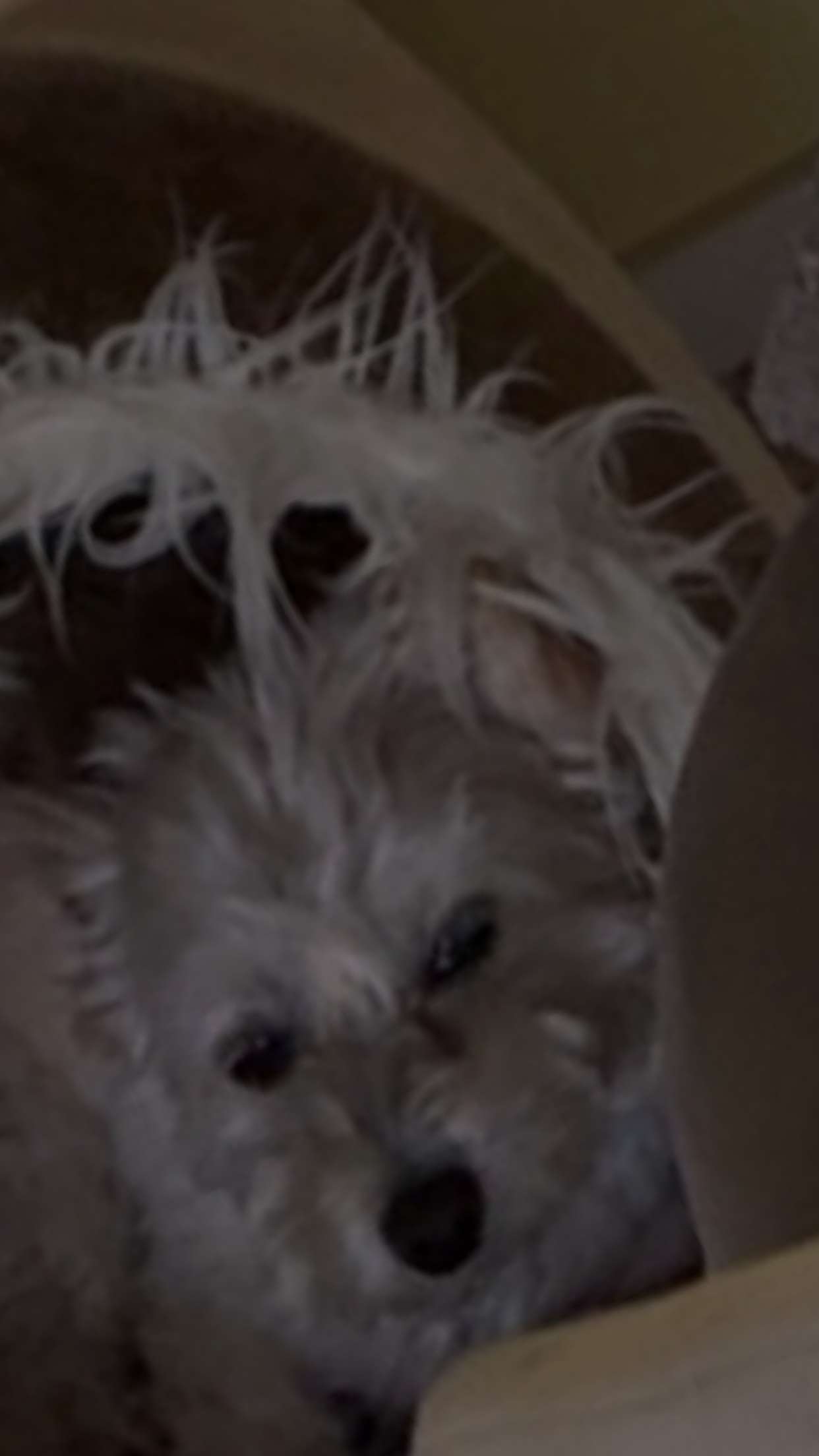 mathilda_bergs snapchat image archive image