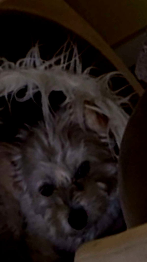 mathilda_bergs image ~ Altpins