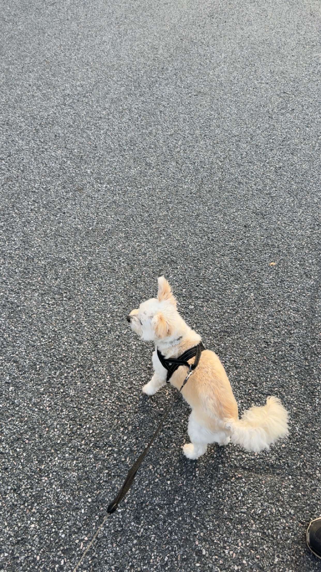 mathilda_bergs snapchat image archive image