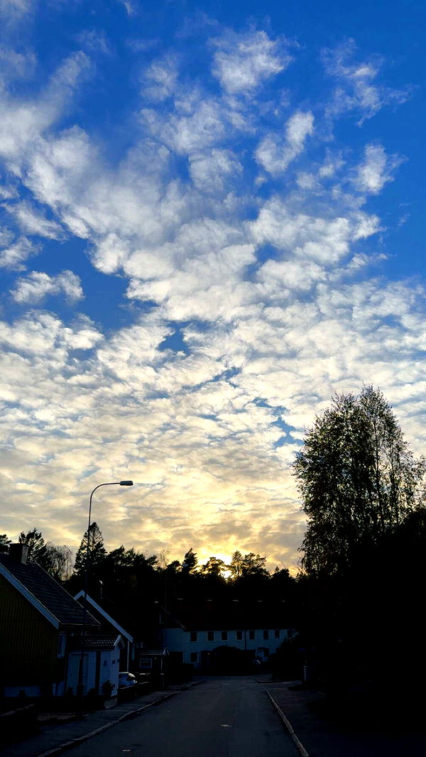 mathilda_bergs image ~ Altpins