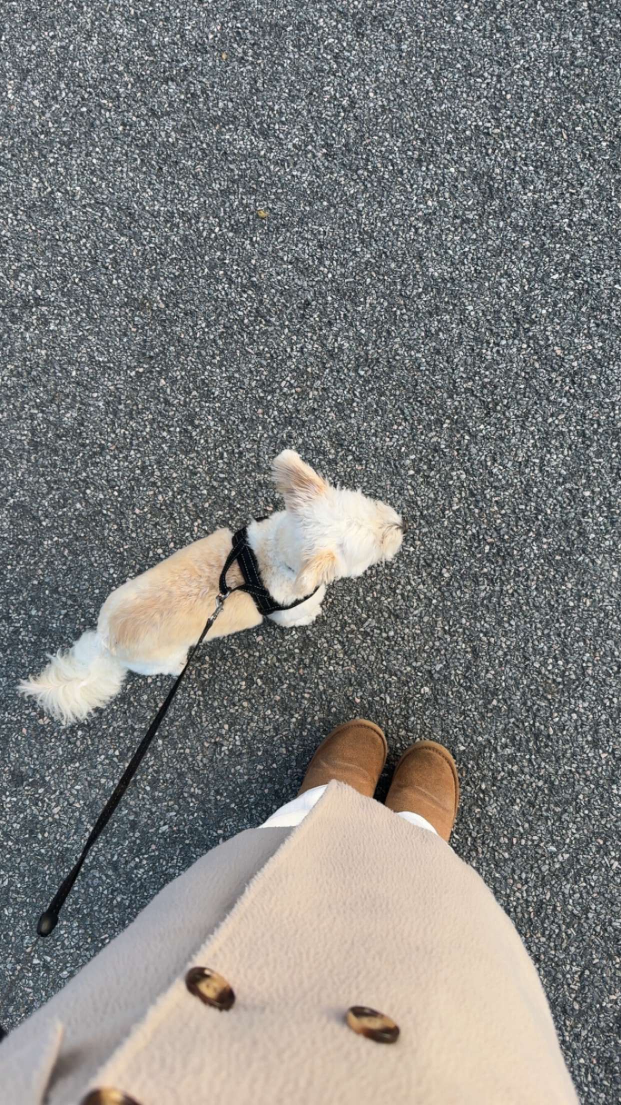 mathilda_bergs snapchat image archive image