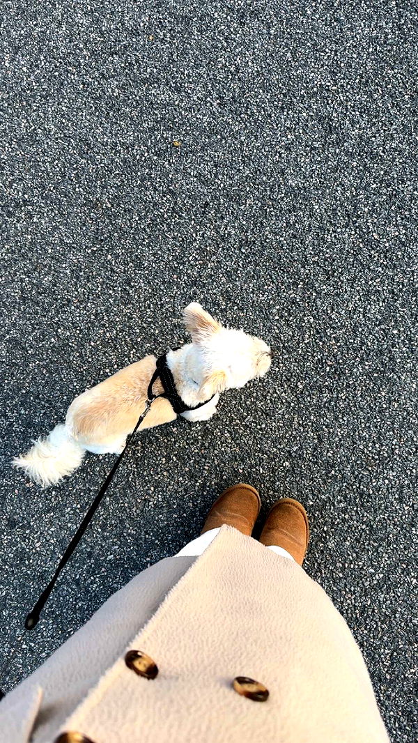 mathilda_bergs image ~ Altpins