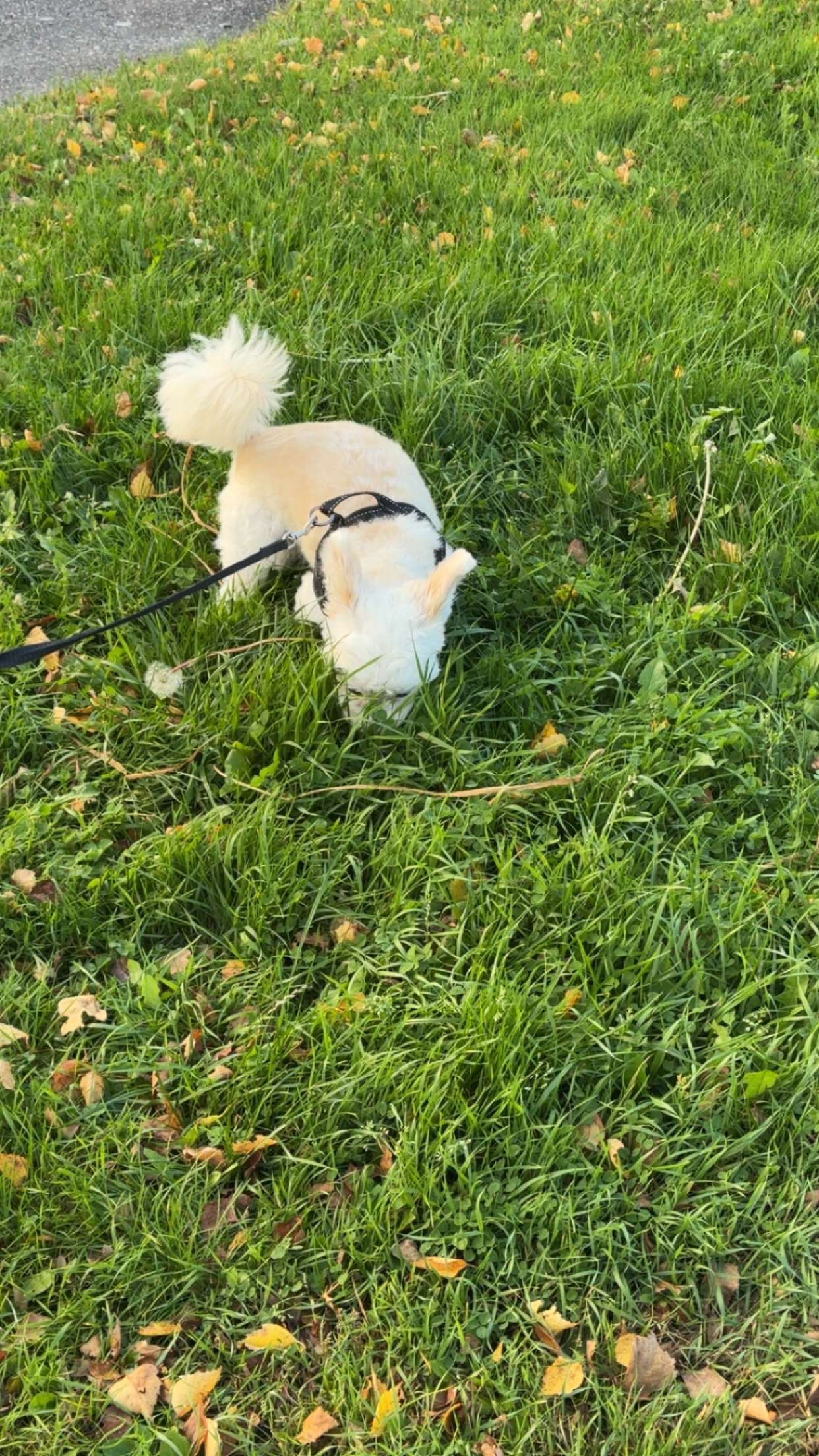 mathilda_bergs snapchat image archive image