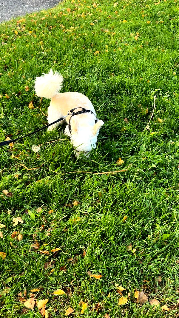 mathilda_bergs image ~ Altpins