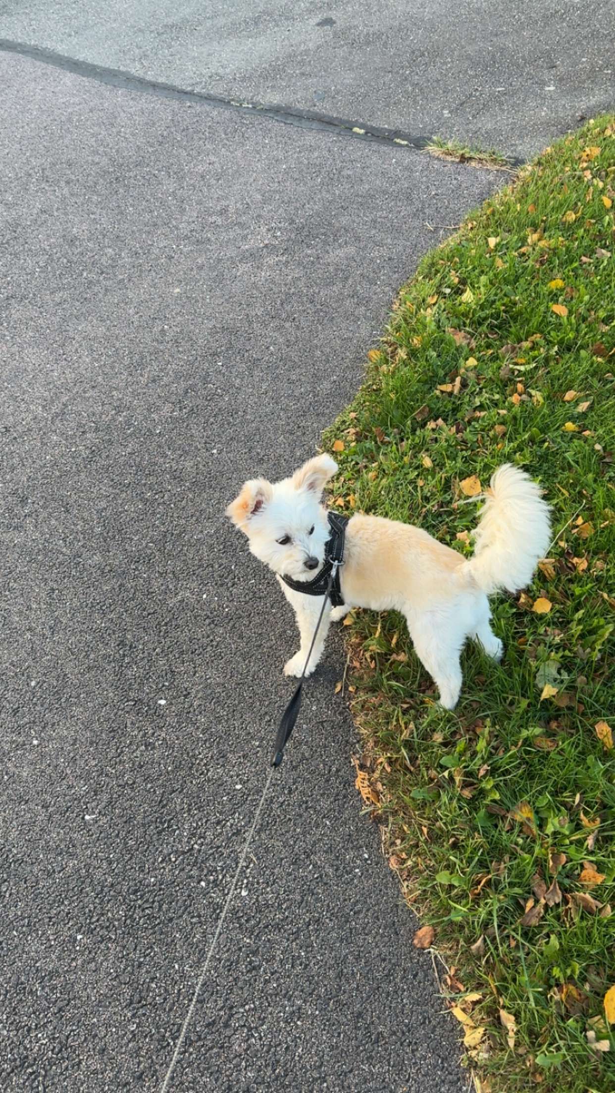 mathilda_bergs snapchat image archive image