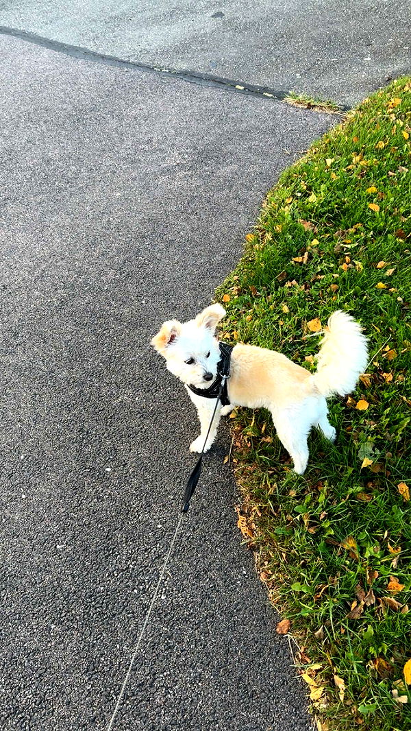 mathilda_bergs image ~ Altpins