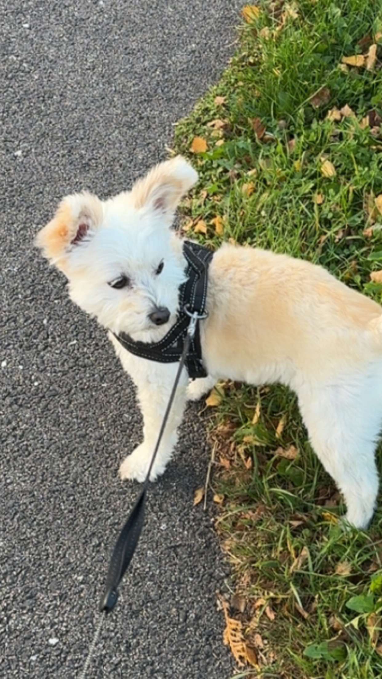 mathilda_bergs snapchat image archive image