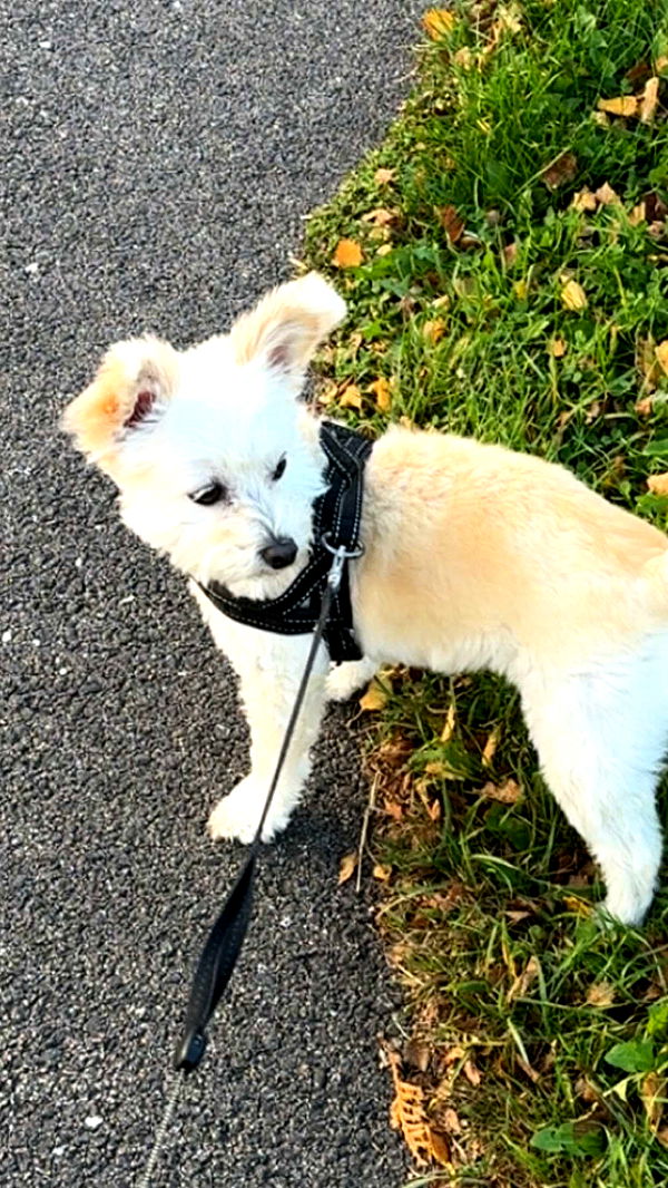 mathilda_bergs image ~ Altpins