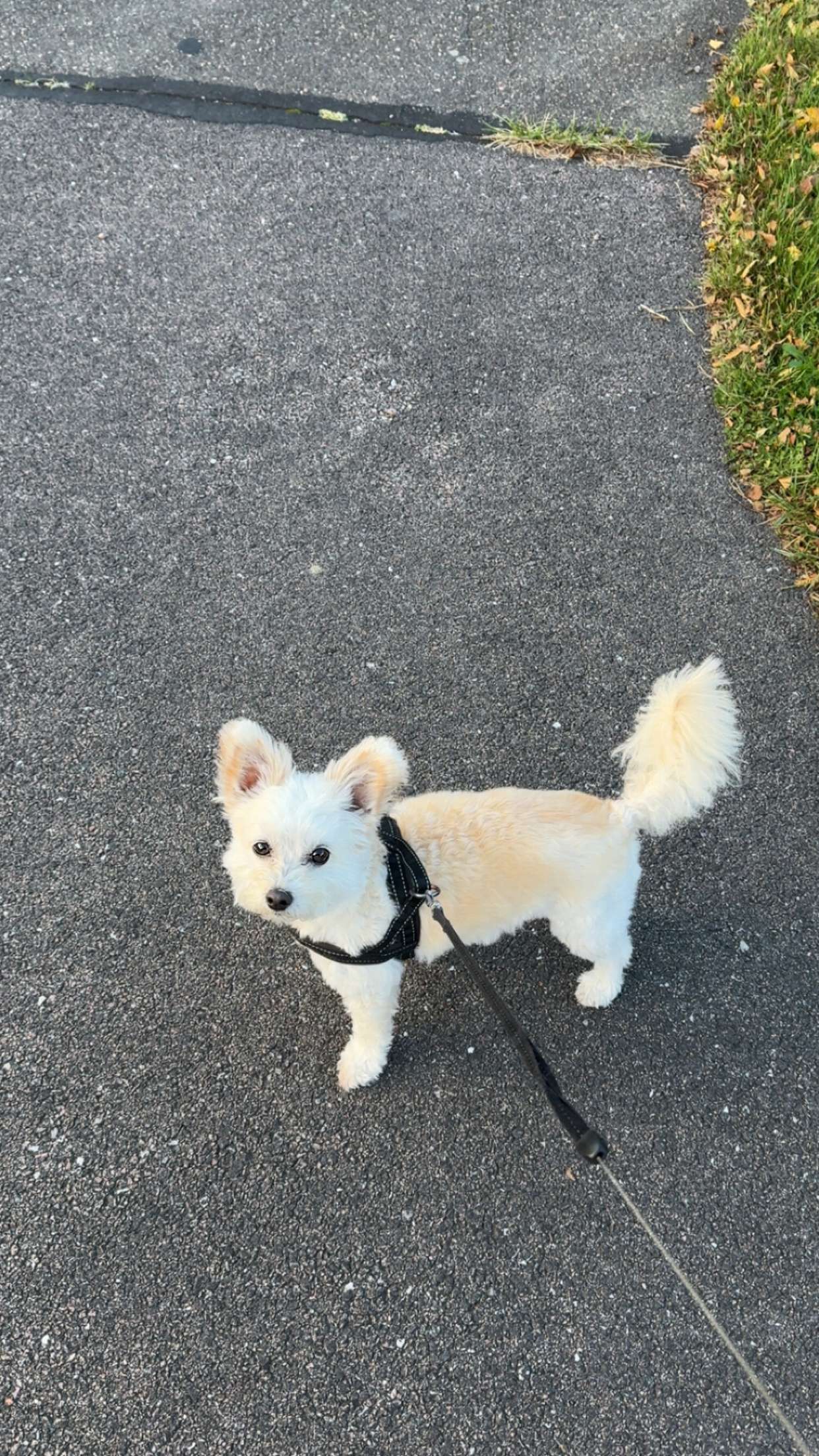 mathilda_bergs snapchat image archive image