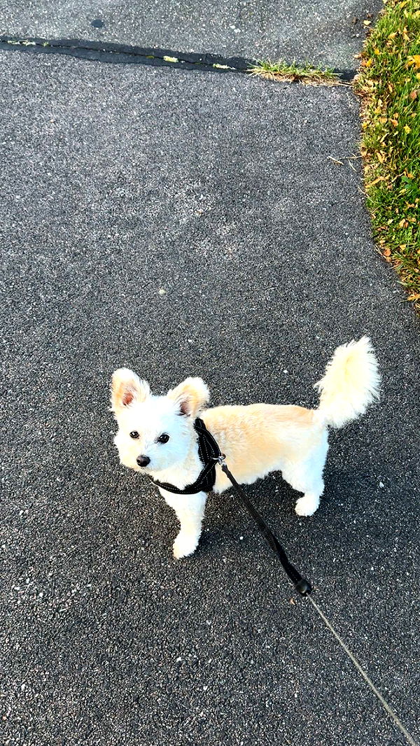 mathilda_bergs image ~ Altpins