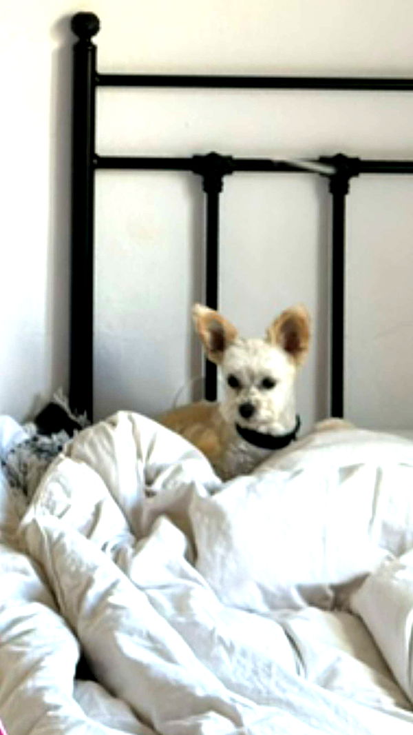 mathilda_bergs image ~ Altpins