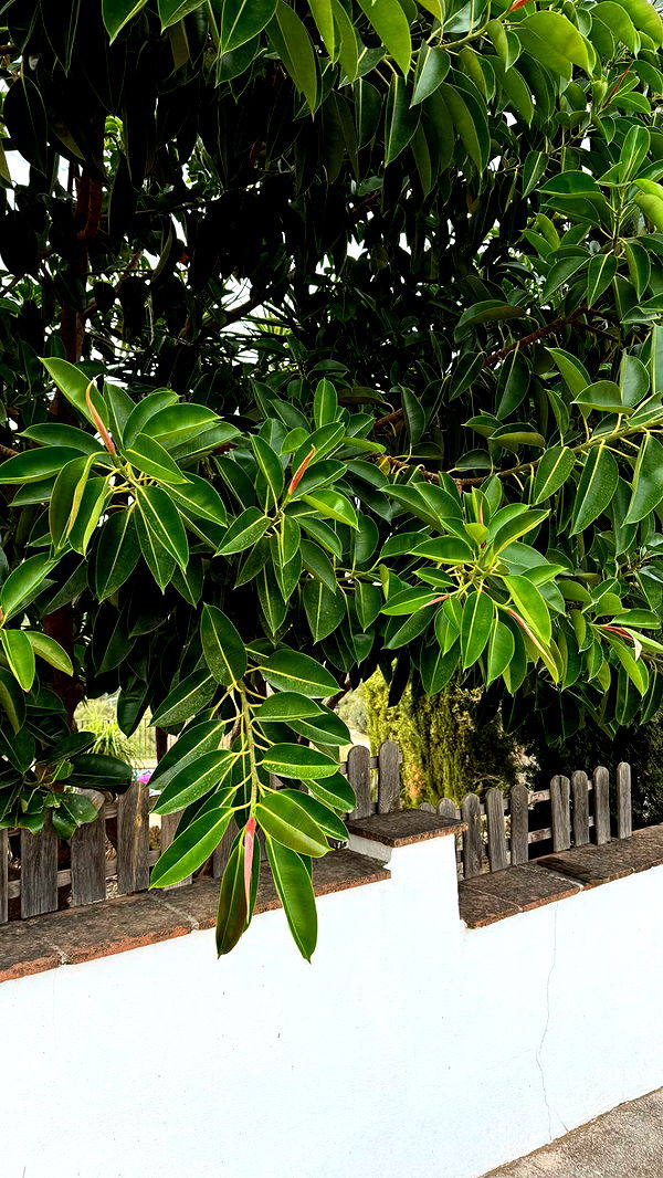 mathilda_bergs image ~ Altpins