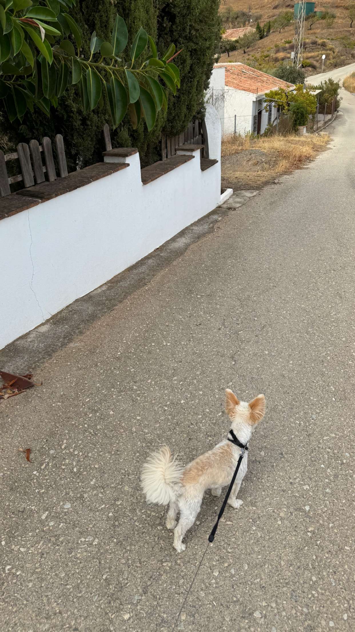 mathilda_bergs snapchat image archive image