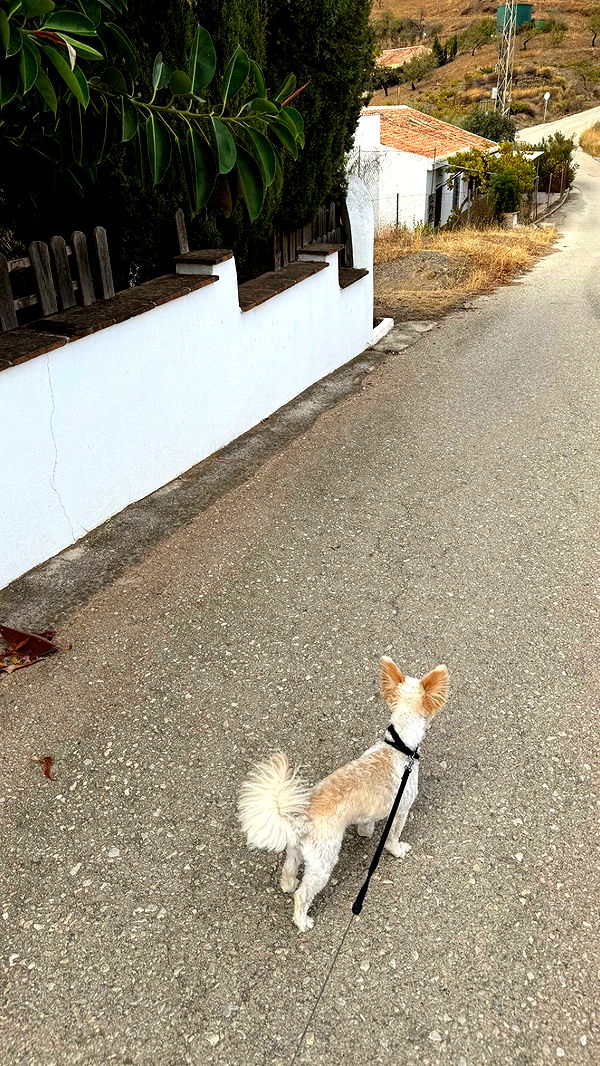 mathilda_bergs image ~ Altpins