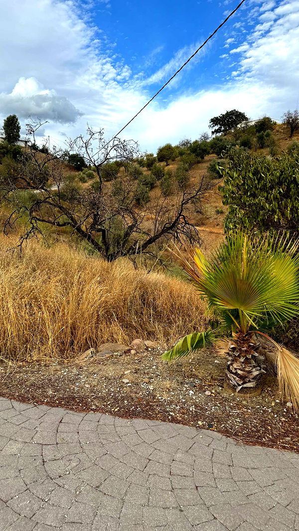 mathilda_bergs image ~ Altpins