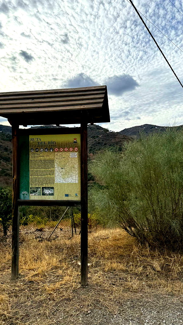 mathilda_bergs image ~ Altpins