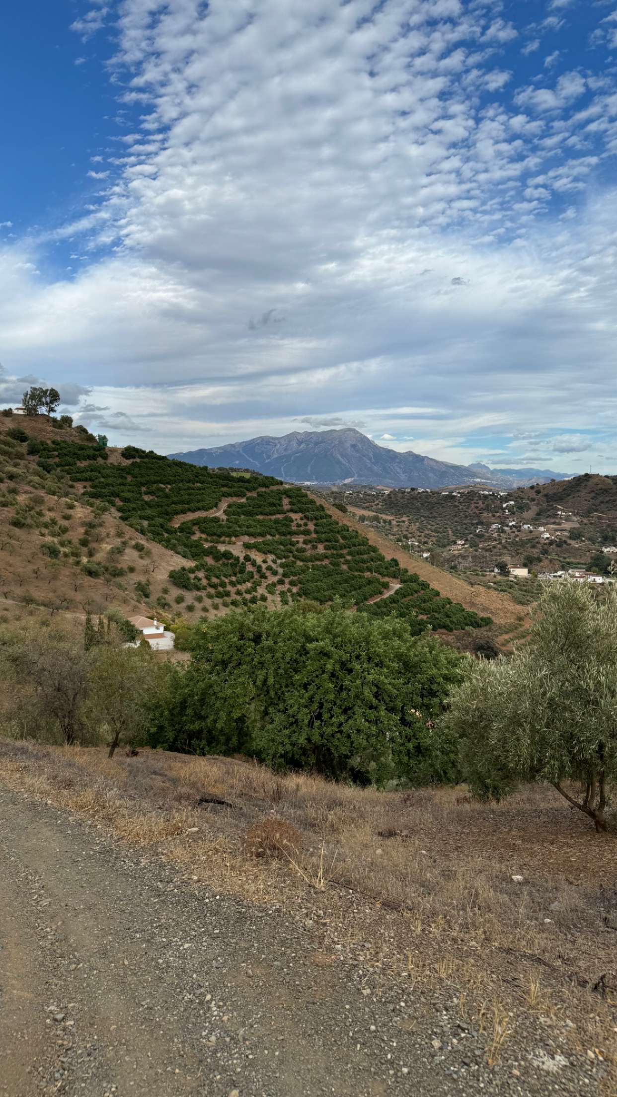 mathilda_bergs snapchat image archive image