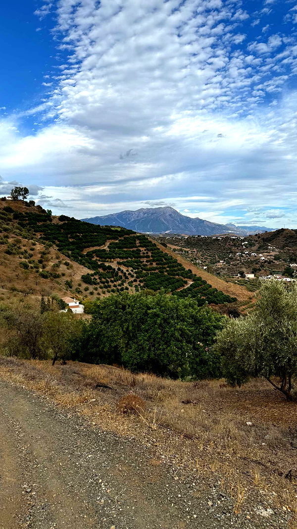 mathilda_bergs image ~ Altpins