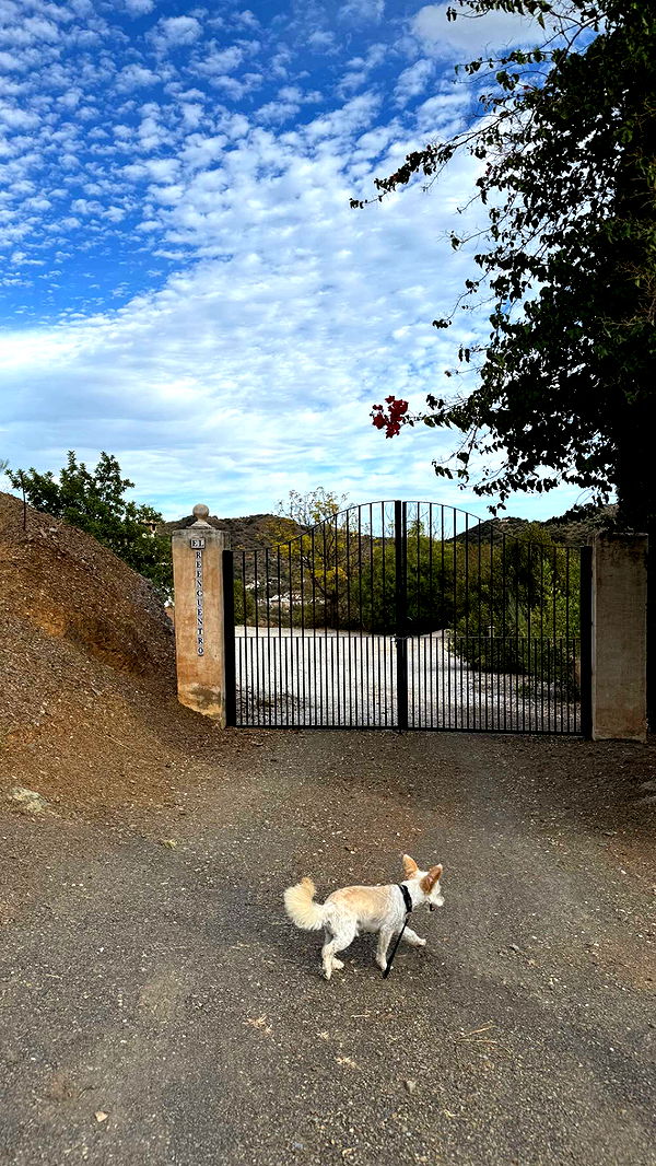 mathilda_bergs image ~ Altpins