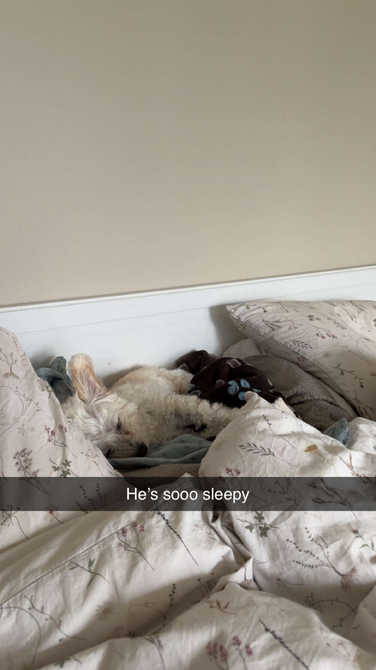 mathilda_bergs snapchat image archive image