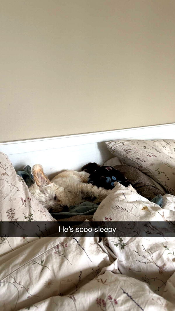 mathilda_bergs image ~ Altpins