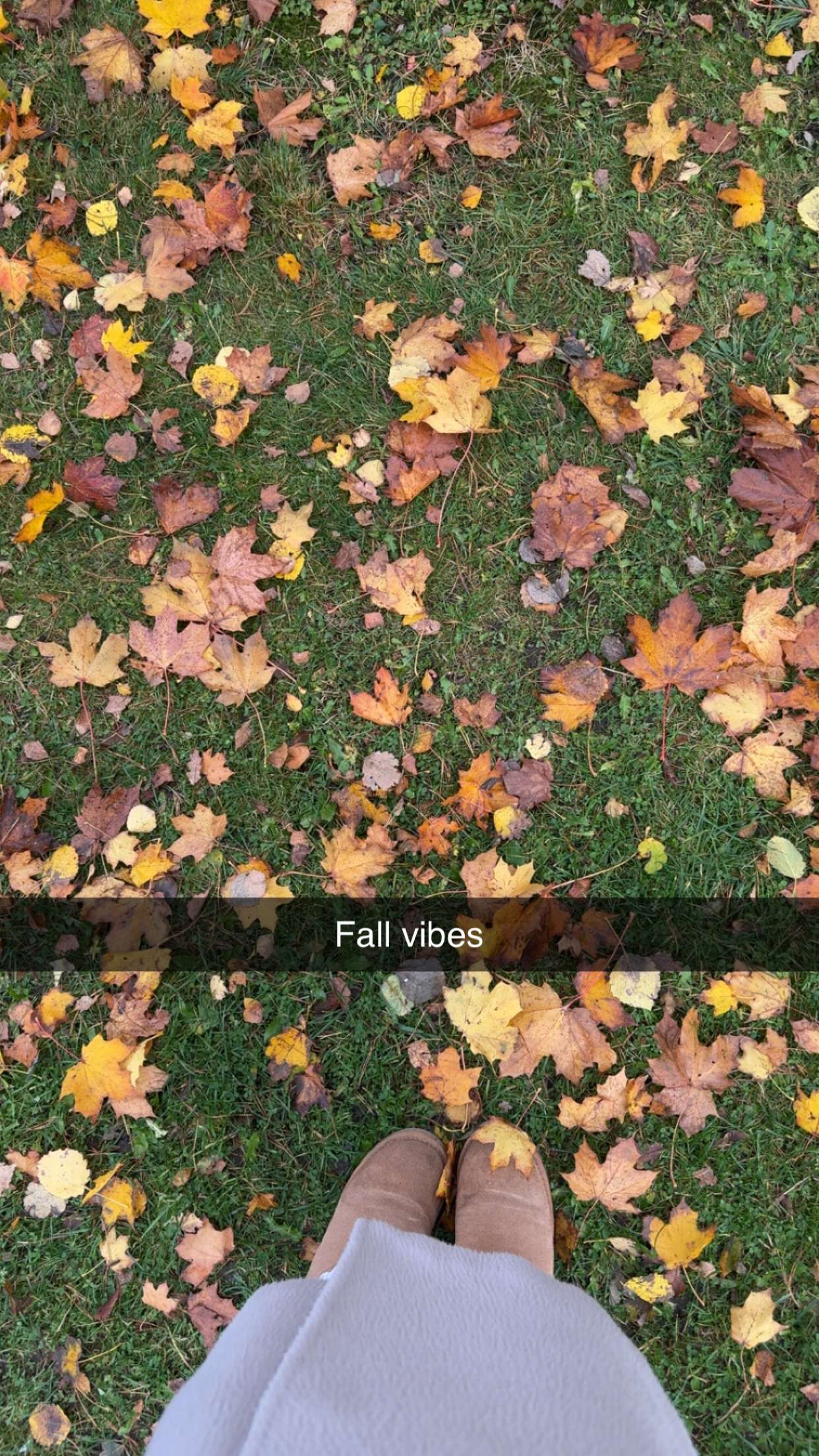 mathilda_bergs snapchat image archive image