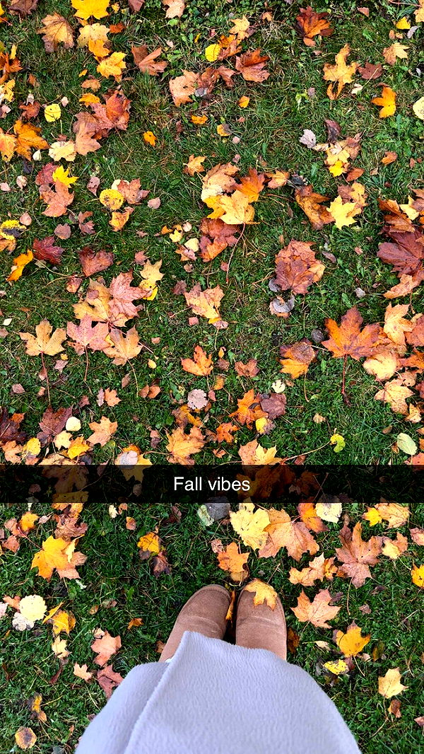 mathilda_bergs image ~ Altpins