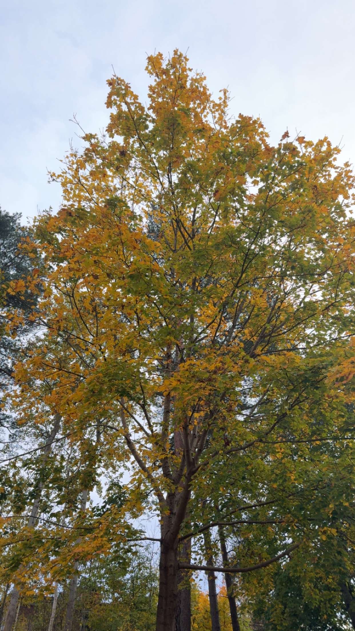 mathilda_bergs snapchat image archive image