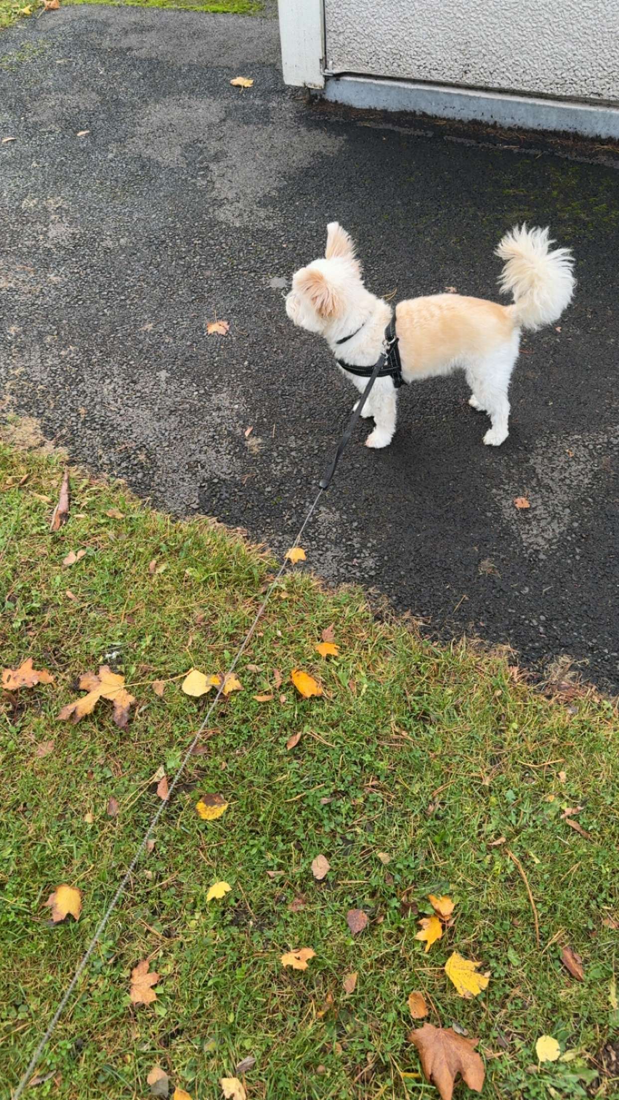 mathilda_bergs snapchat image archive image