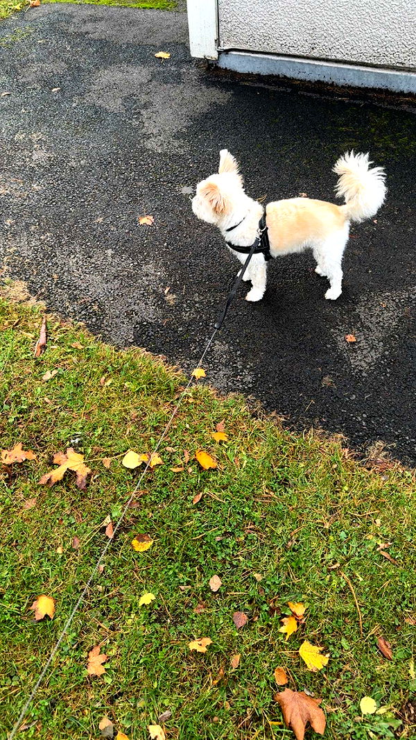 mathilda_bergs image ~ Altpins