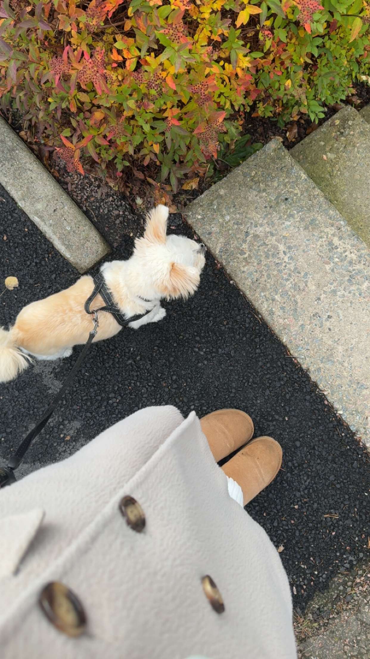 mathilda_bergs snapchat image archive image