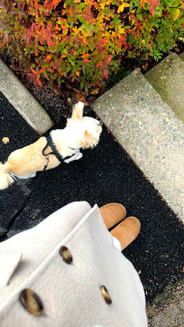 mathilda_bergs image ~ Altpins