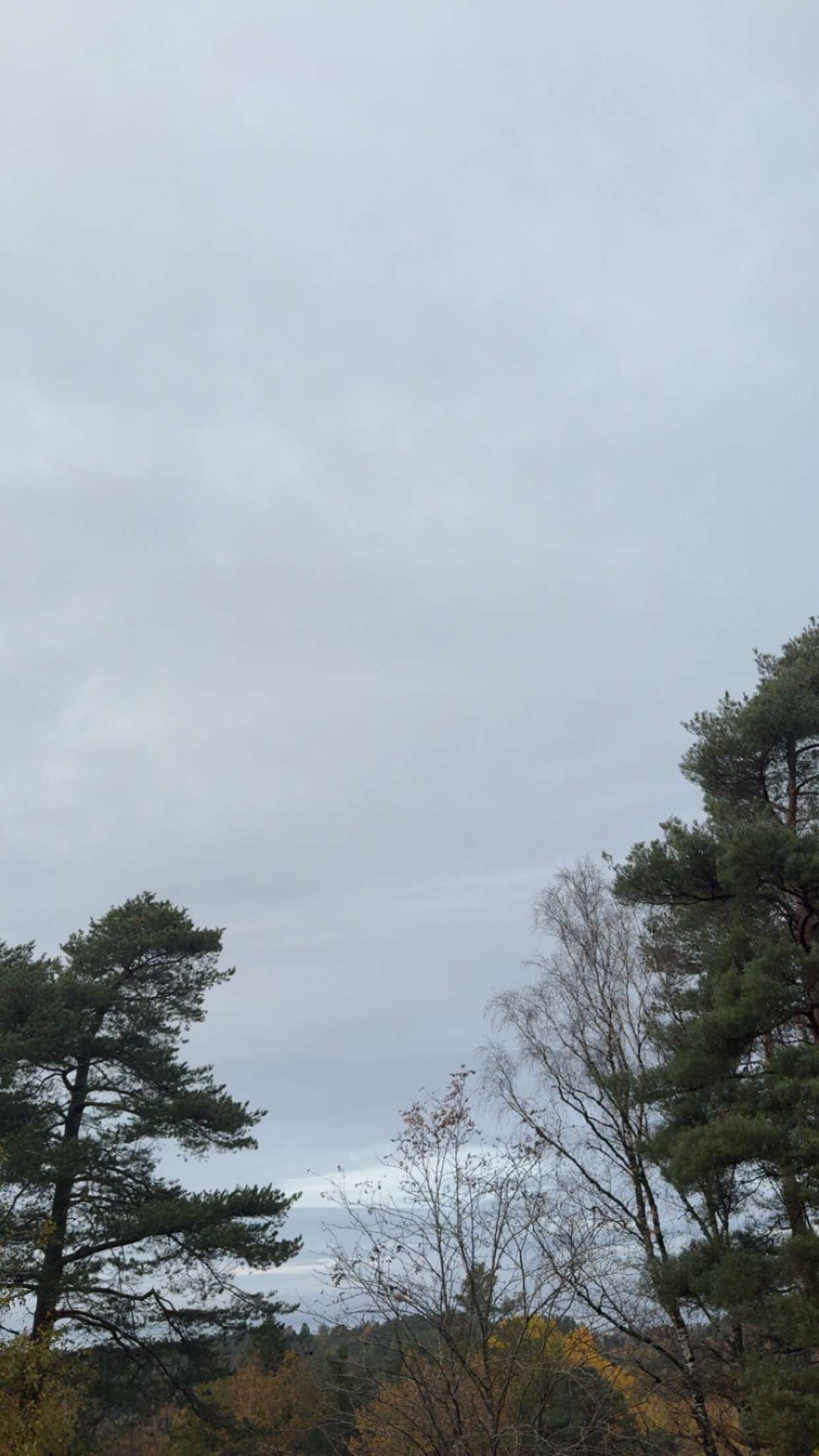 mathilda_bergs snapchat image archive image