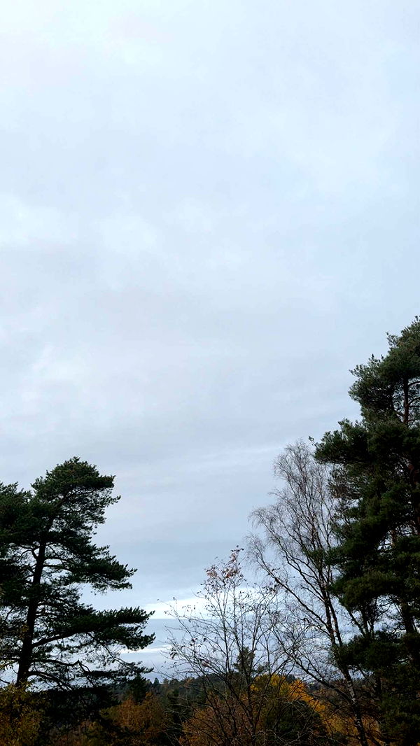 mathilda_bergs image ~ Altpins