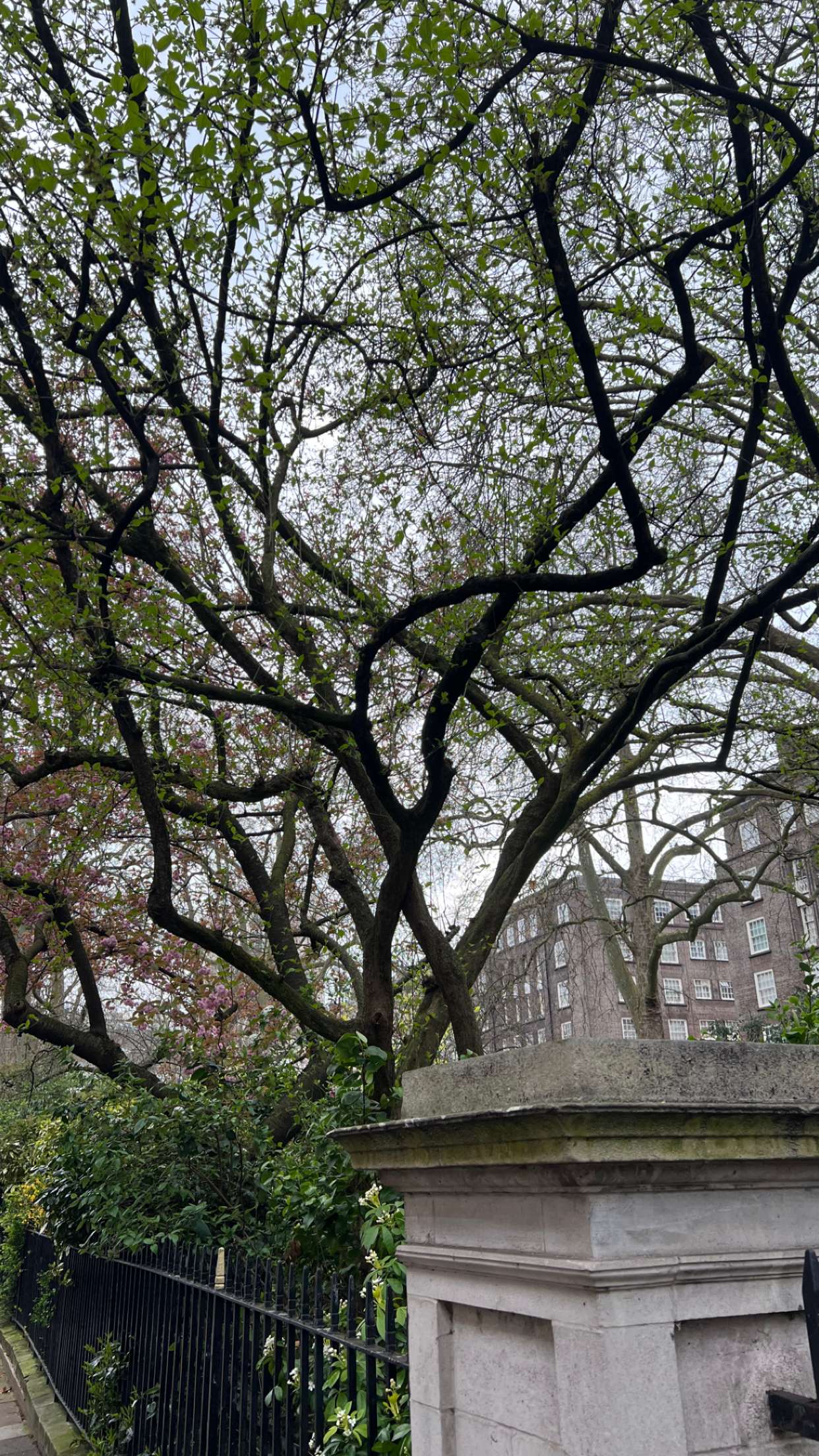 mathilda_bergs snapchat image archive image