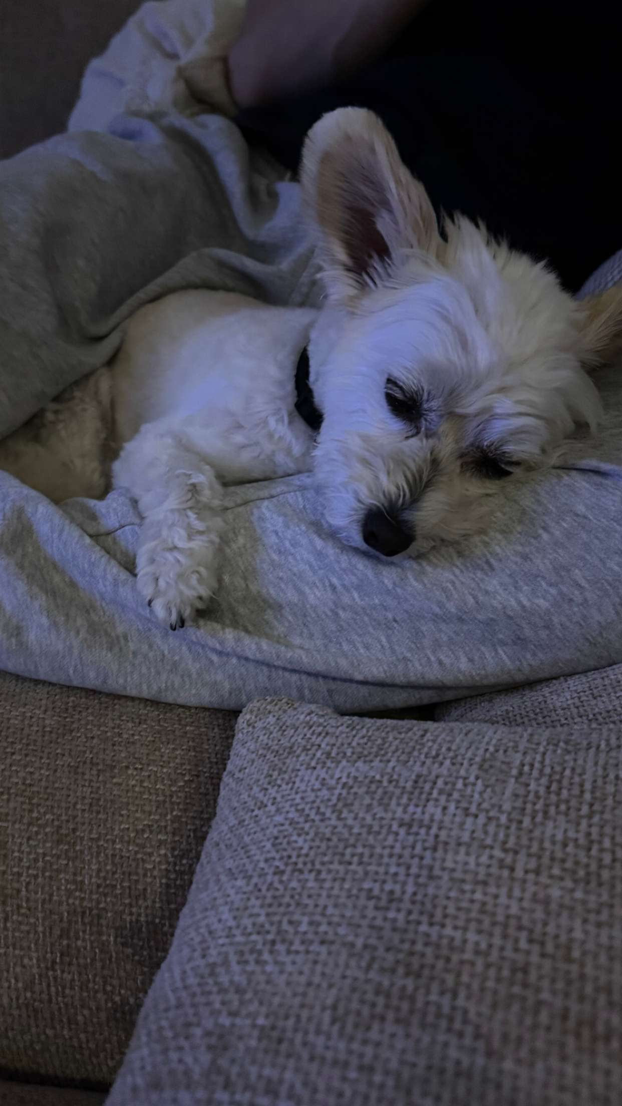 mathilda_bergs snapchat image archive image