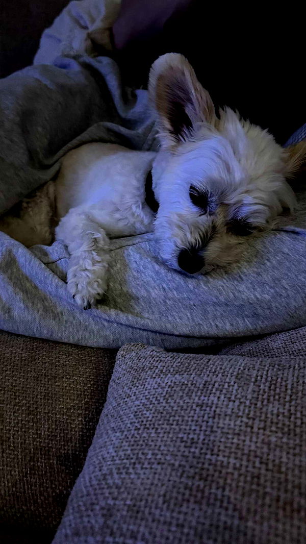 mathilda_bergs image ~ Altpins