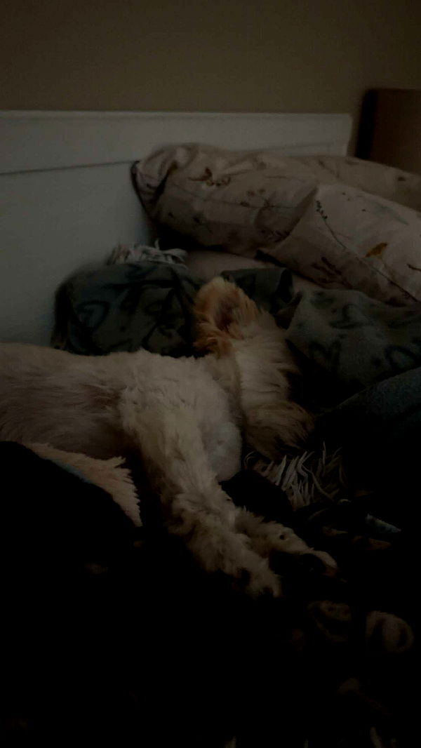 mathilda_bergs image ~ Altpins