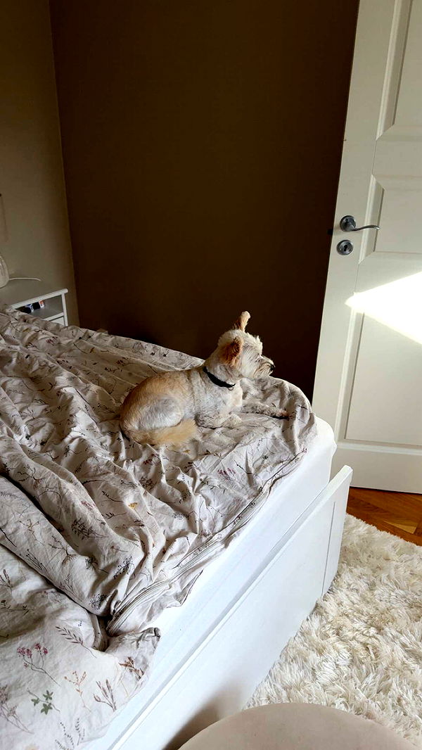 mathilda_bergs image ~ Altpins