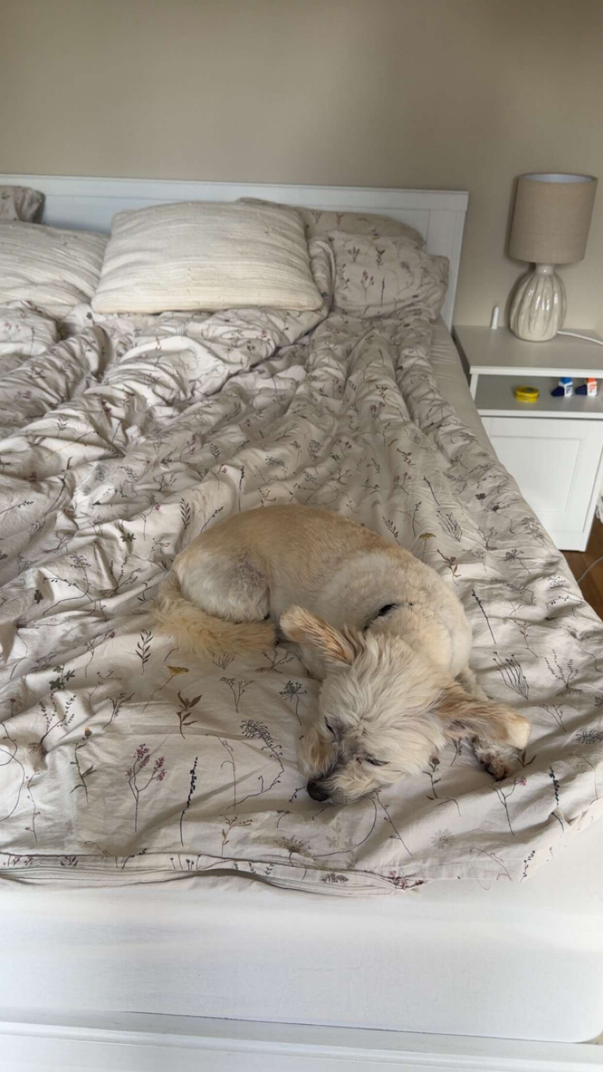 mathilda_bergs snapchat image archive image