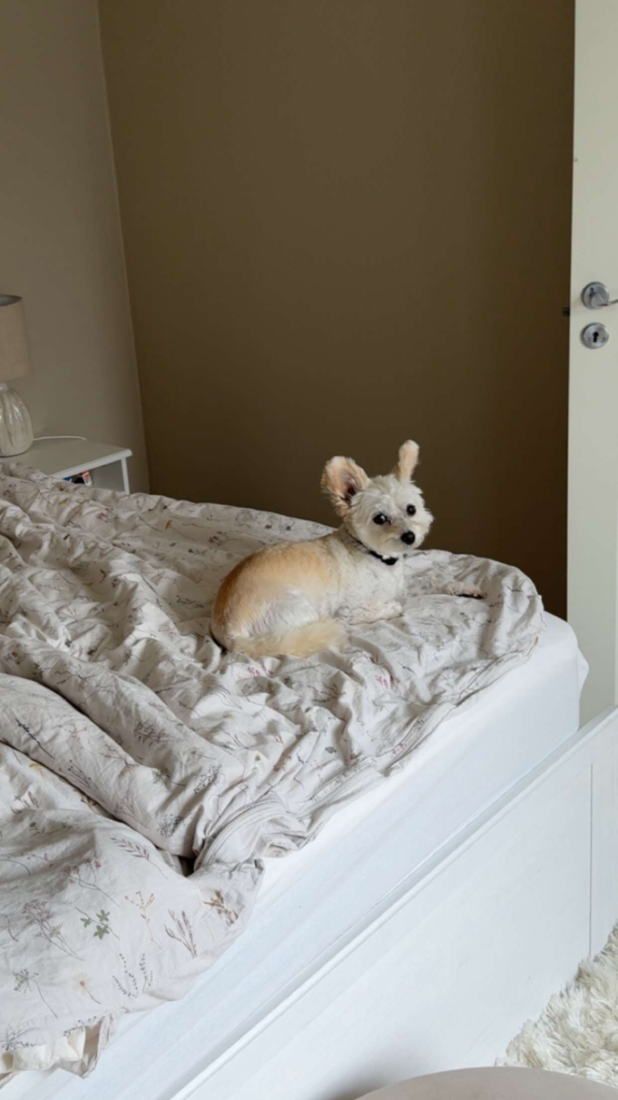 mathilda_bergs snapchat image archive image